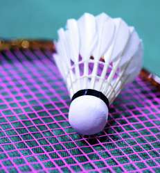 sejour badminton.